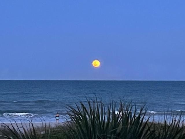 The Marlin - Cocoa Beach Leilighet Eksteriør bilde